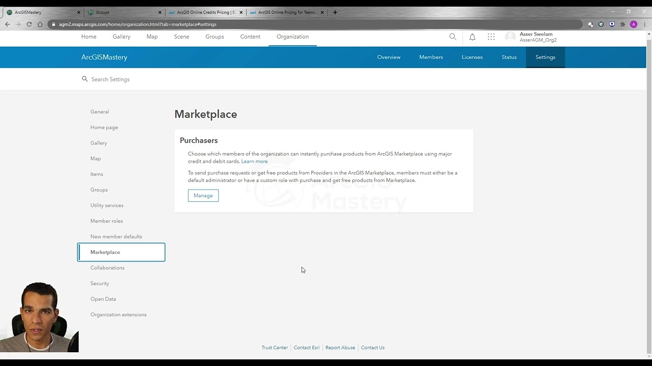 Настройки организации — учетная запись организации ArcGIS Online