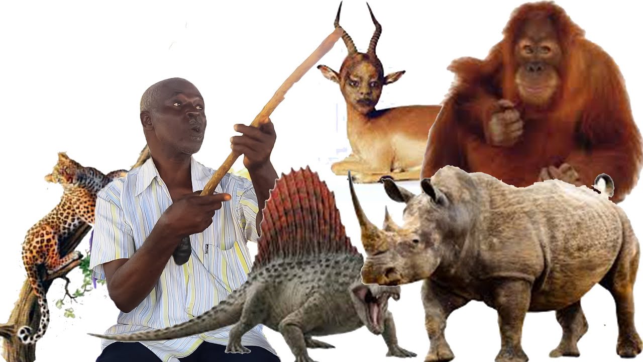 shocking story, A hunter k!!led a pregnant Animal But what happened  next  was shocking