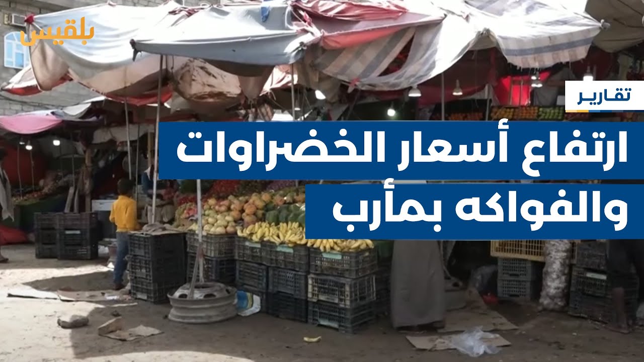 محافظة مأرب.. ارتفاع أسعار الخضراوات والفواكه يحرم أسرا كثيرة من تناولها | تقرير: خليل الطويل