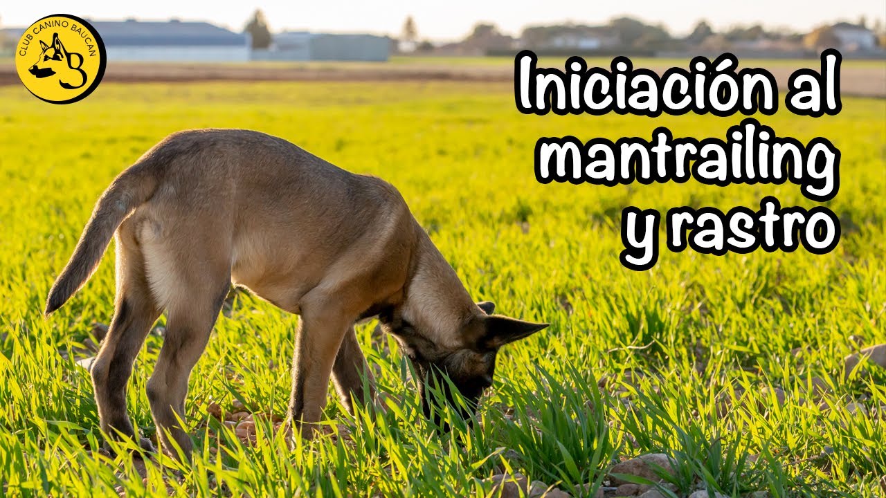 INICIACIÓN al MANTRAILING