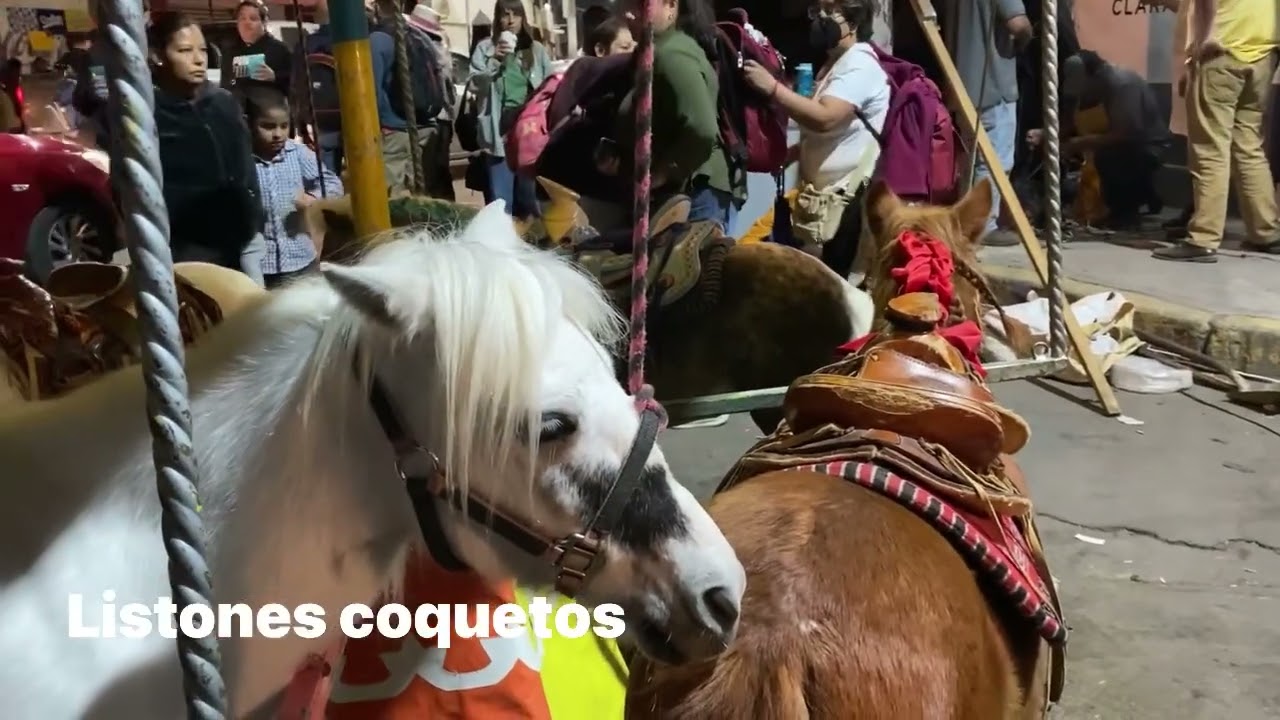 Carrusel de ponys en feria