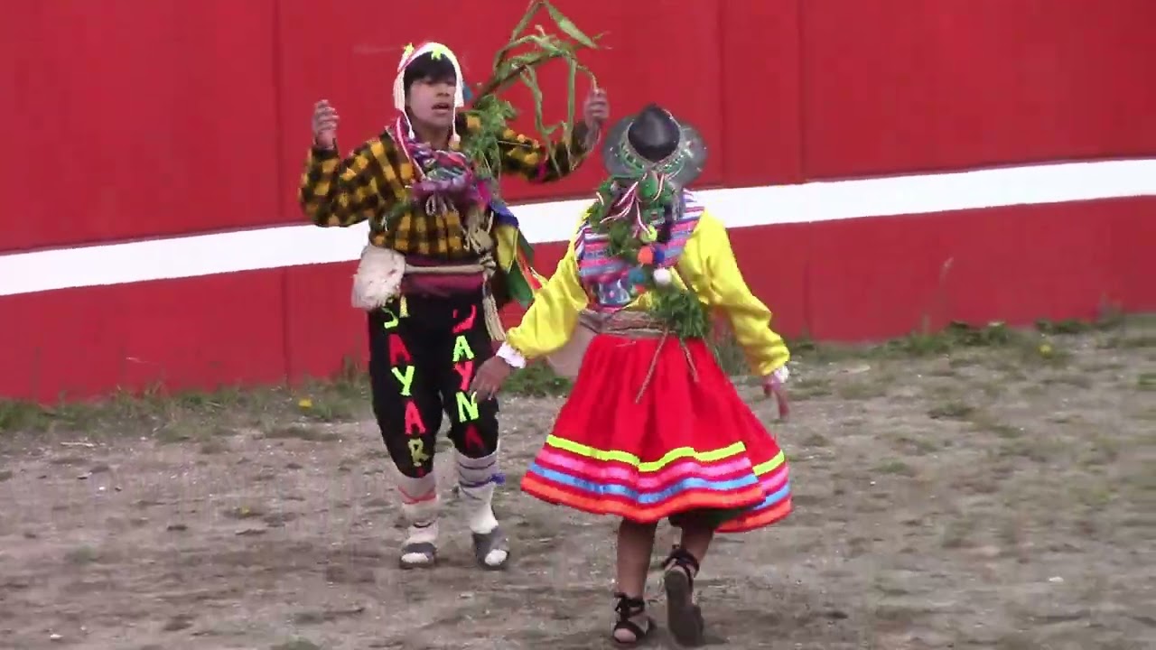 Agrupación Folklorica Soncco Sua - Pukllay de Huaccana / Chaka Tinkay, Caylloma