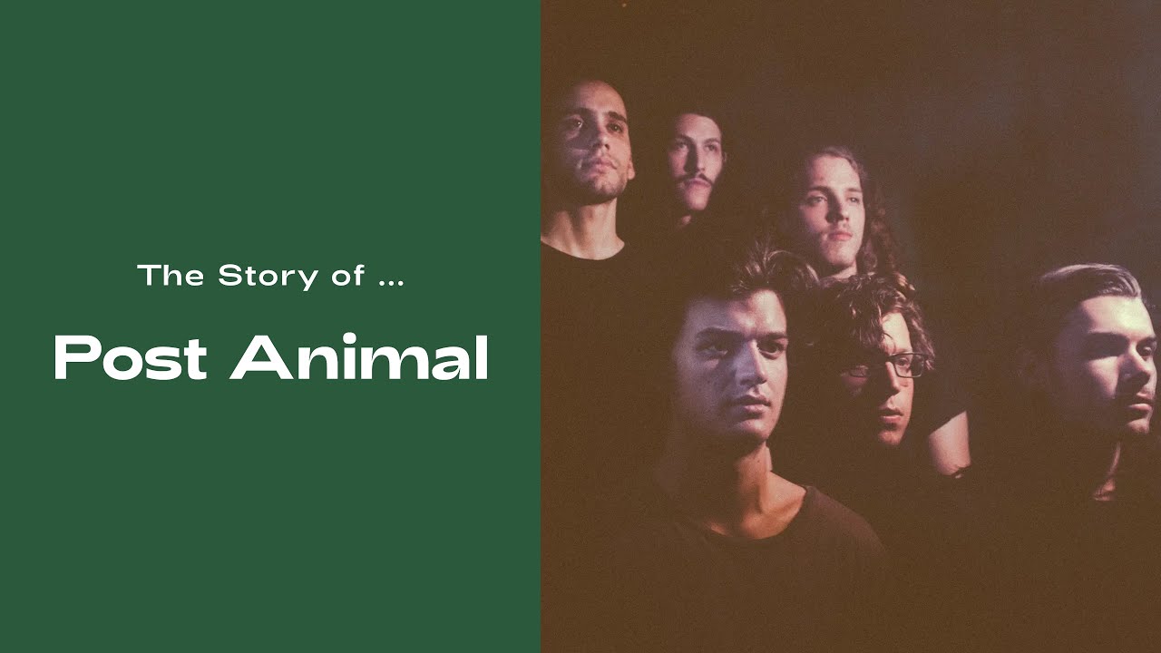 Discussing The Music & Career of... Post Animal