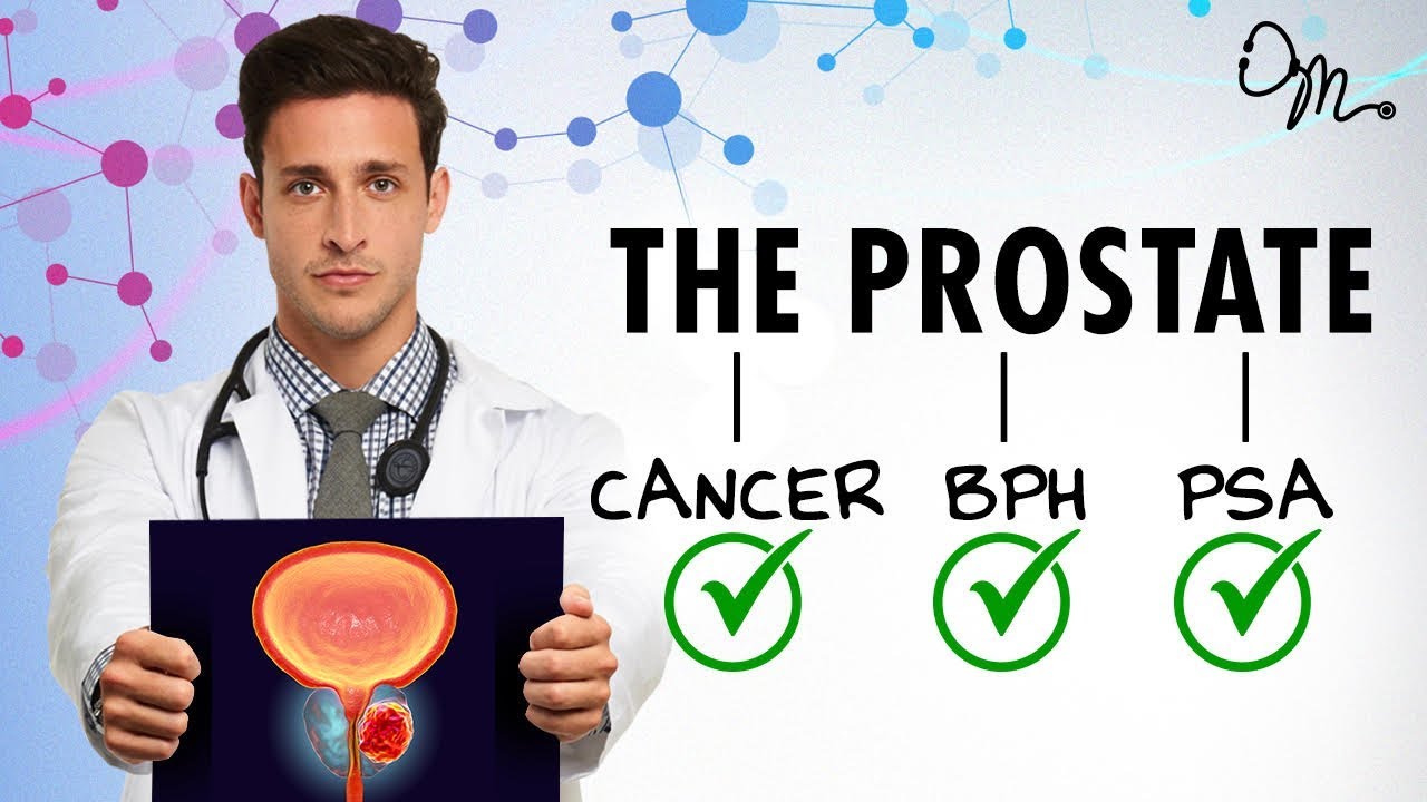 WHAT IS THE PROSTATE? | BPH + Cancer + PSA + More! | Doctor Mike