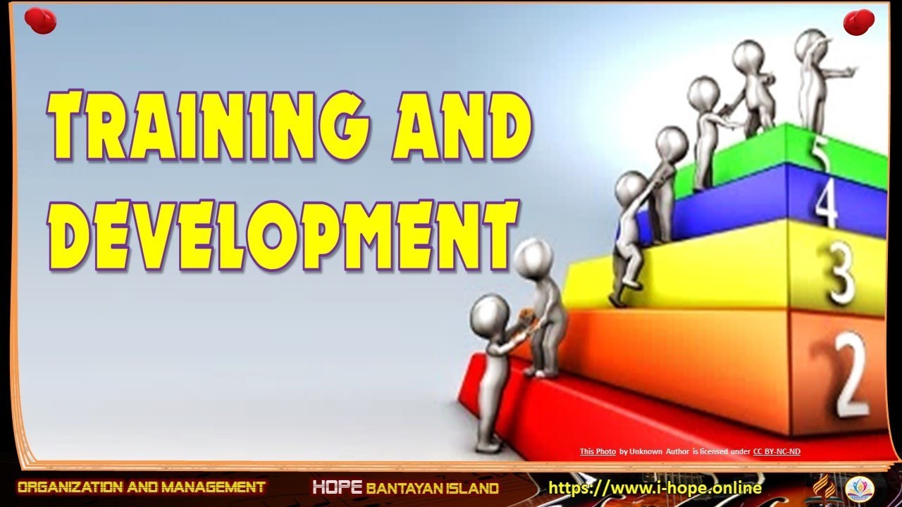 TRAINING AND DEVELOPMENT | Organization and Management
