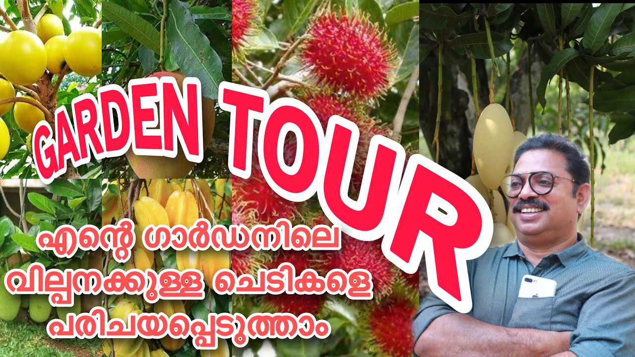 RAZZ GARDEN TOUR എന്റെ ഗാർഡനിലെ വിൽക്കാനുള്ള ചെടികളെ പരിചയപ്പെടാം