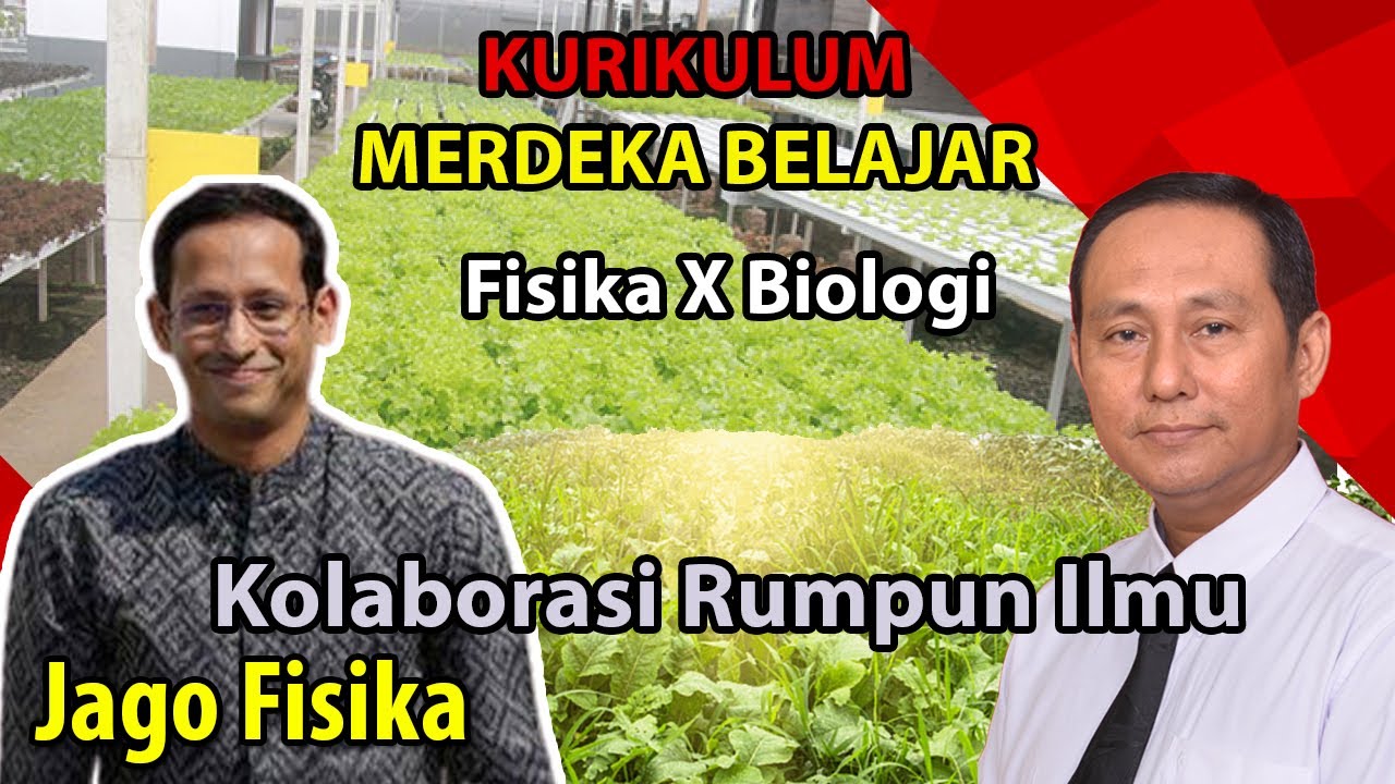 KOLABORASI RUMPUN ILMU FISIKA x BIOLOGI MELALUI RISET HIDROPONIK | KURIKULUM MERDEKA BELAJAR PART 1