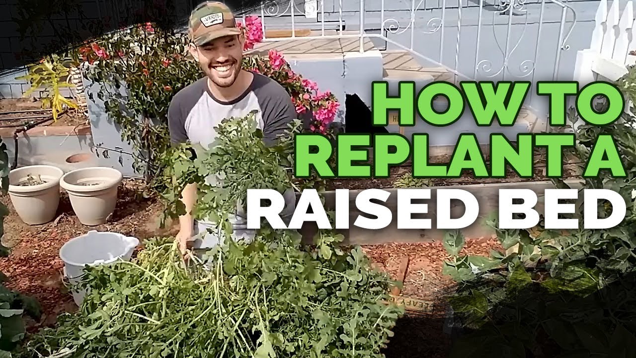 How to Replant and Prepare Raised Beds For Spring