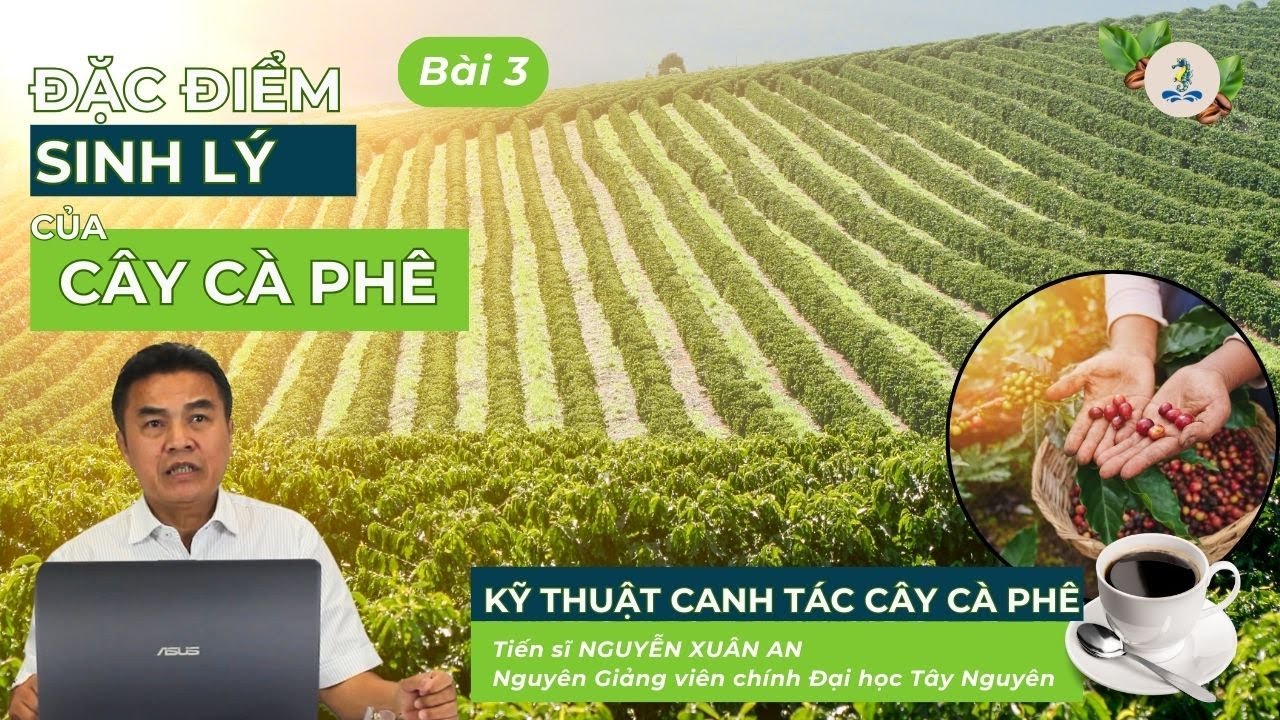 Đặc điểm sinh lý của cây cà phê (Chủ đề 3) | Kỹ thuật canh tác cây cà phê -