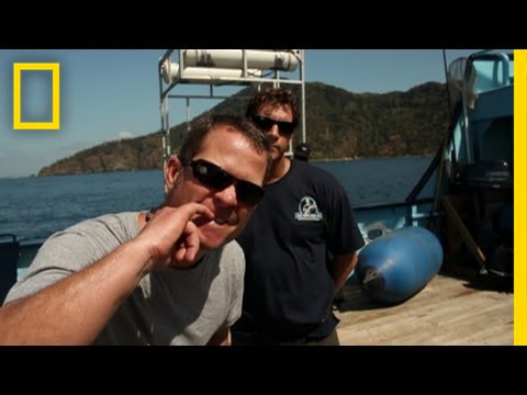 Meet the Shark Men: Chris | National Geographic