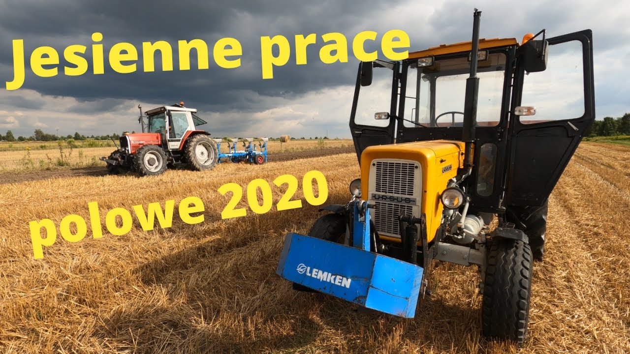Jesienne prace polowe 2020 czyli orka, siew, koszenie kukurydzy. Ursus 360 3p MF 3070, 3090