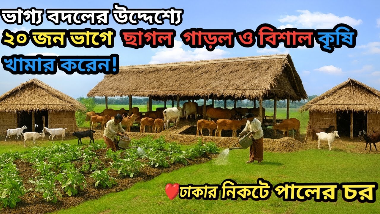 ২০জনে ভাগ্য বদল্যের উদ্দেশ্যে জমি দেখতে এসে বিঘা ৫০ বিঘার বিশাল খামার দিলেন! ঢাকার নিকটেvillagelife 