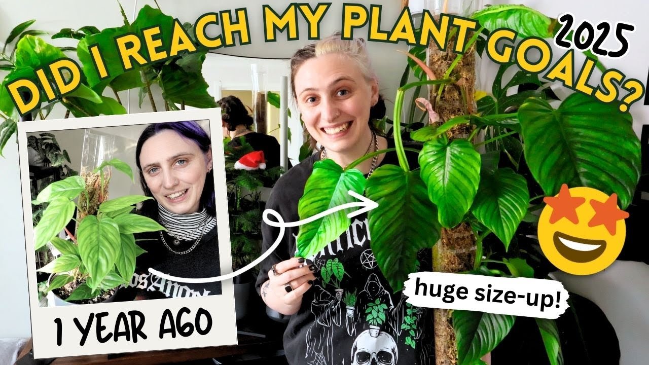 1 Year of Plant Growth! 🌿 Did I Reach My 2025 Goals?