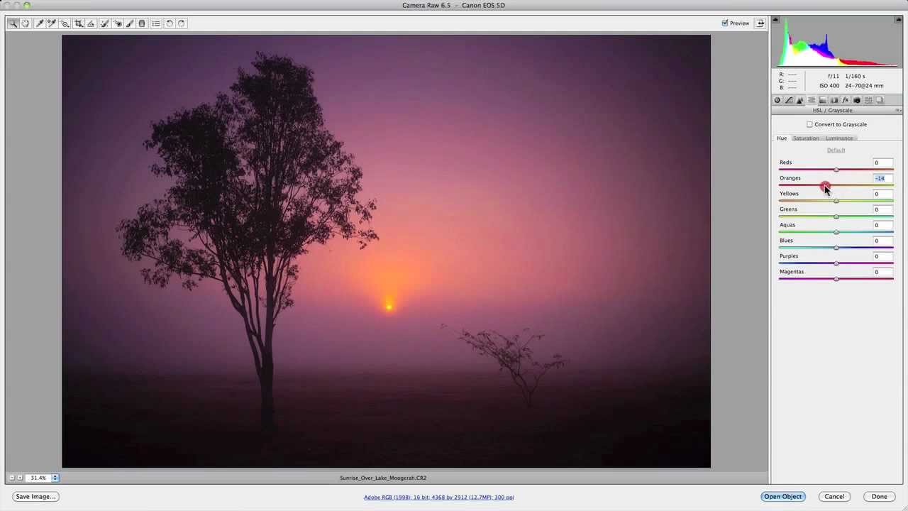 Photoshop Tutorials for Beginners - Camera Raw Workflow Tips & Tricks