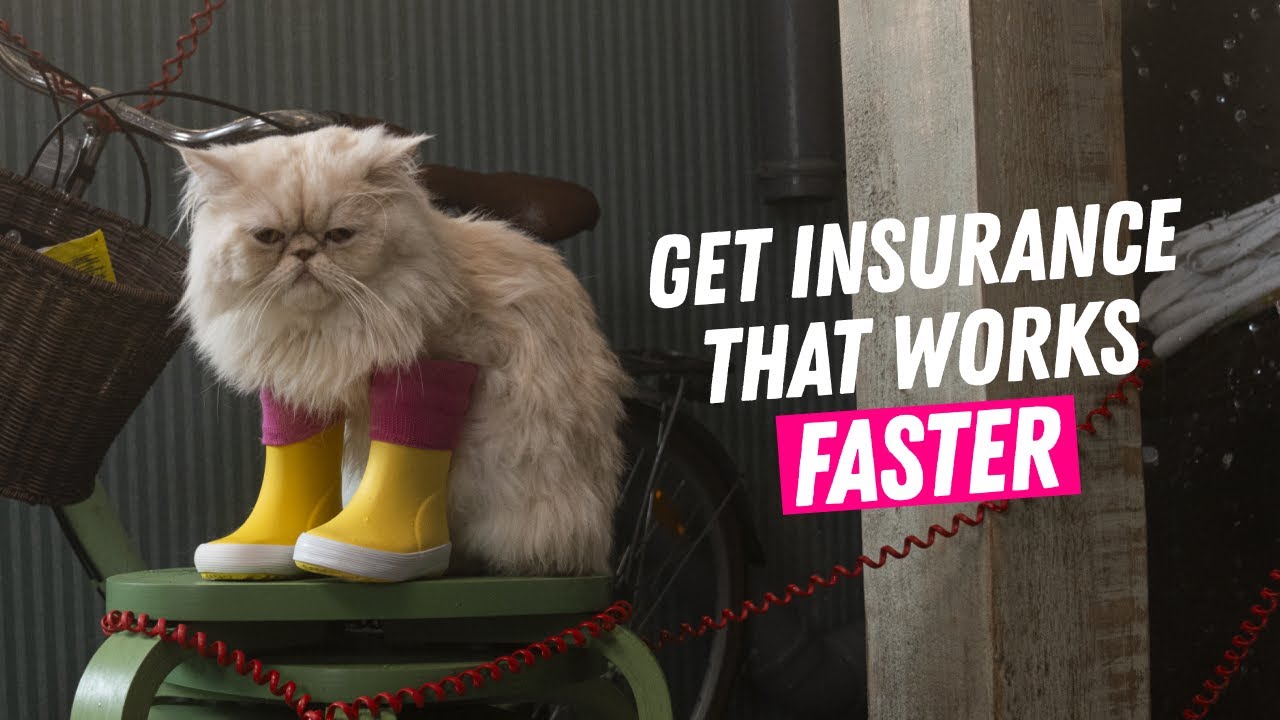 Lemonade - Insurance that works faster