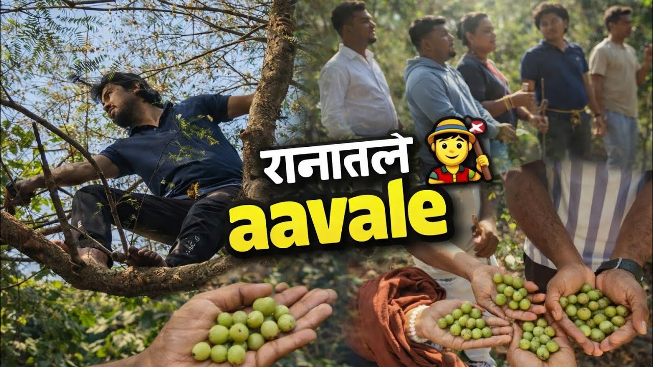 आवळे आणायला सगळे गेलो ⛰️🍃.... #vlog #nature #cinematic 