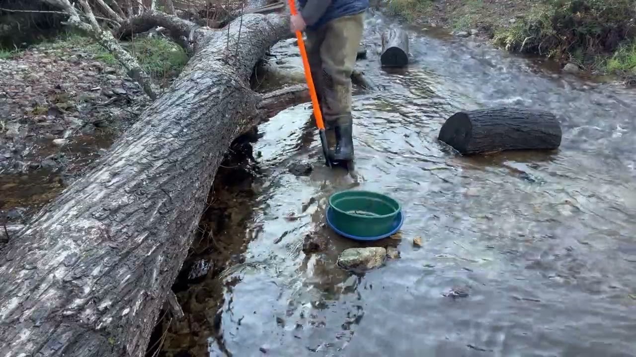 Mid-Winter Fossick Pt 2. The smallest public fossicking area in New Zealand, but still good fun.
