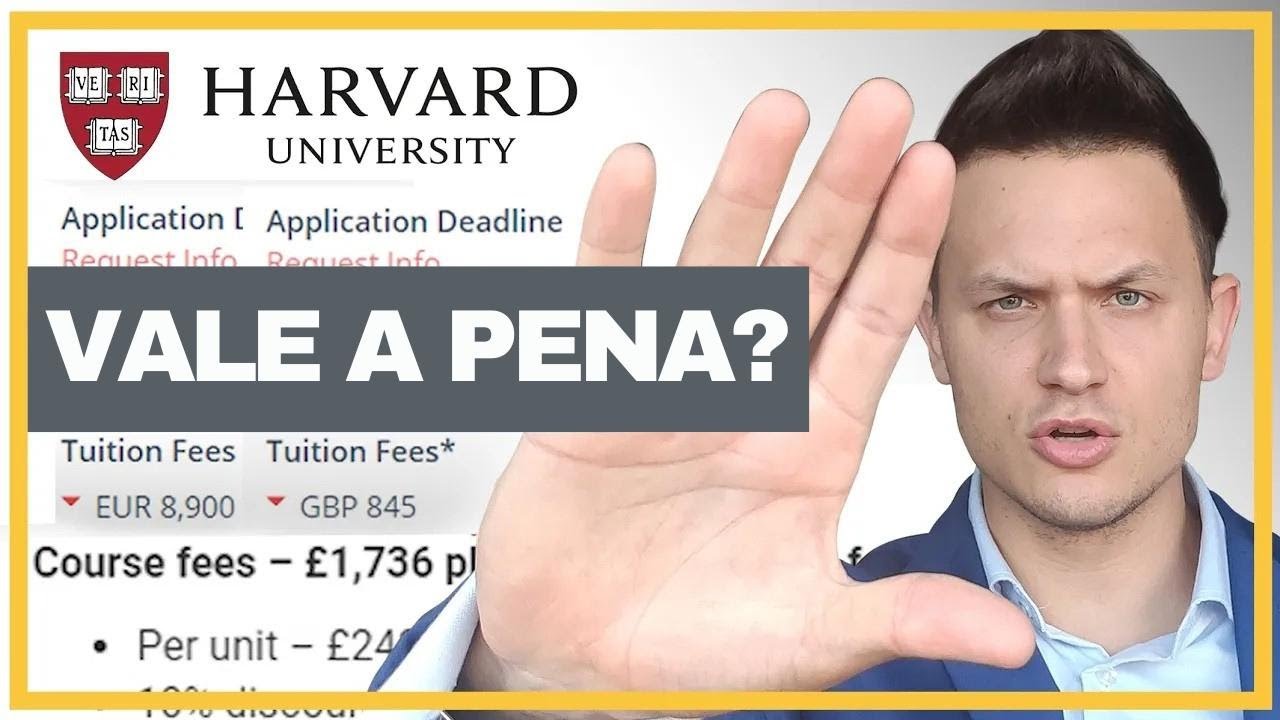 Certificados online valem a pena? Veja tudo sobre HarvardX, Coursera, Stanford e edX