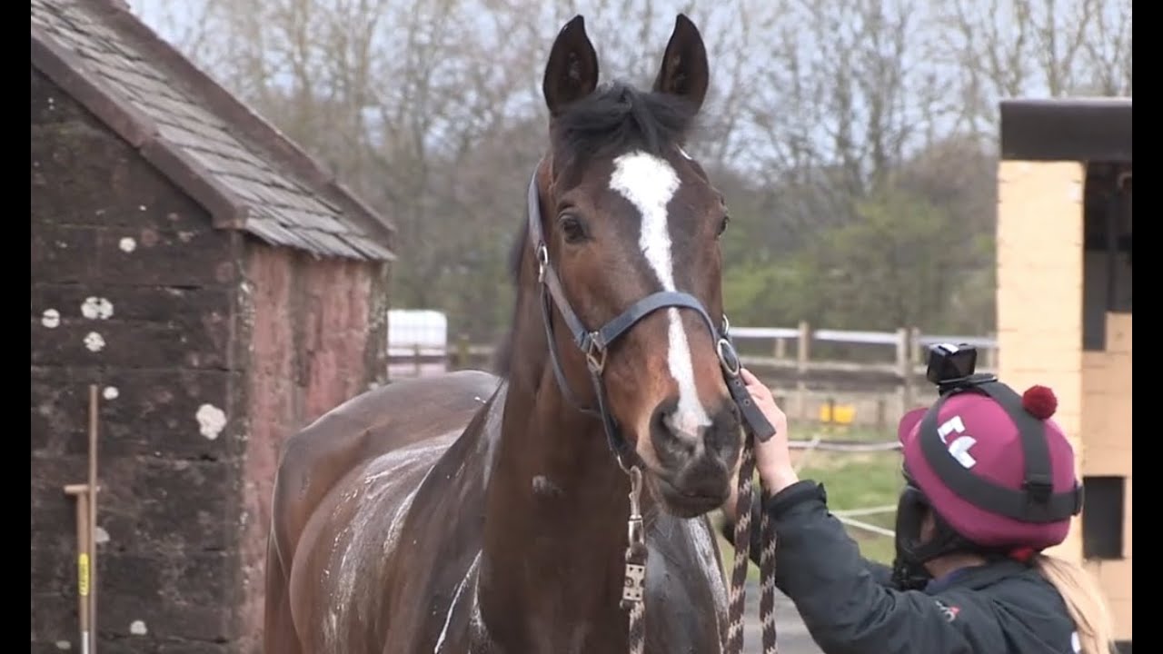 GRAND NATIONAL WINNER ONE FOR ARTHUR - THE JOURNEY BACK - HORSE RACING DOCUMENTARY 3.4.19