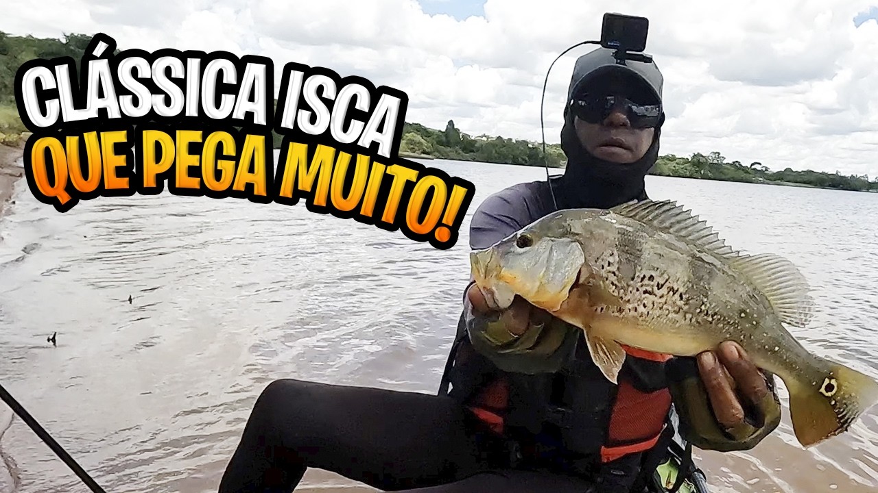 🎣 PESCARIA ULTRA LIGHT COM A RAPALA ORIGINAL FLOAT | CLÁSSICA QUE PEGA TUCUNARÉ!