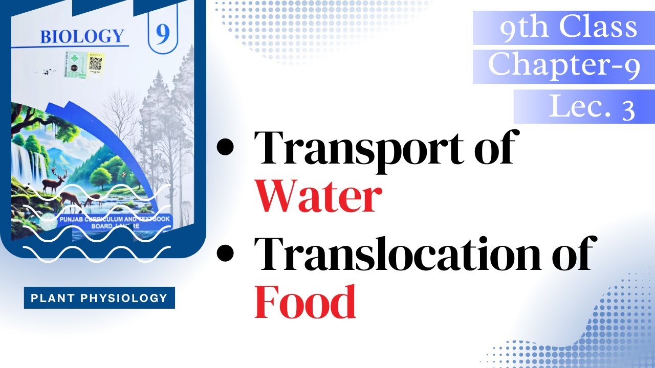 Transpiration of Water | Translocation of Food | 9th Class | Burhan Biology