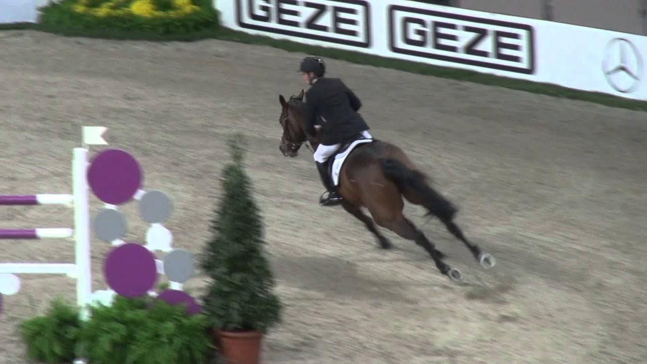 Sabrina (webstallions.com)