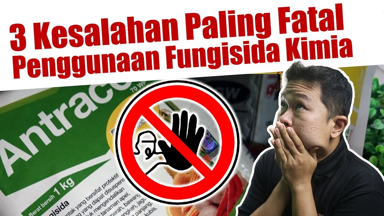 Hindari ❗❗❗ 3 Kesalahan Paling Fatal Menggunakan Fungisida Kimia | Pestisida | Penyakit Tanaman