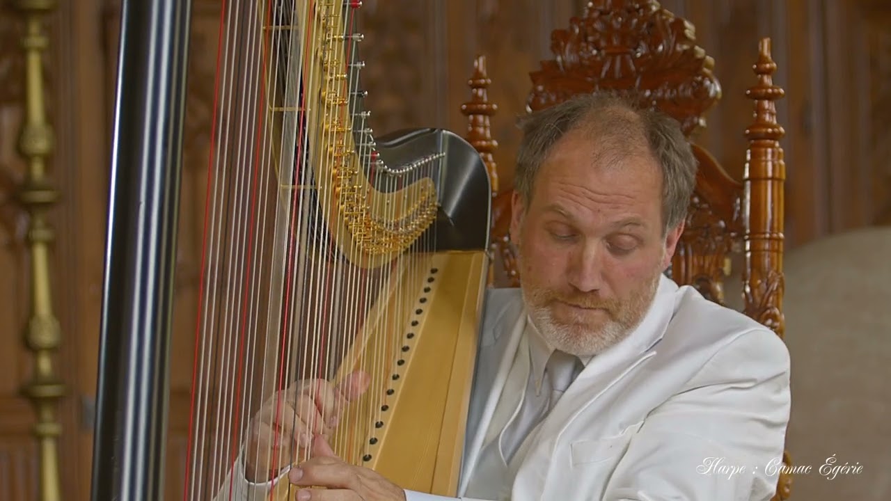 Enjoy the Silence - Depeche Mode / François Pernel - Harpe