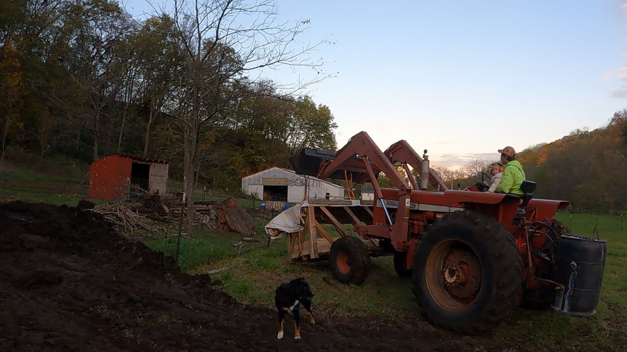 How Many Trees is He Gonna Run Into? | Putting Out the New Hay Feeder