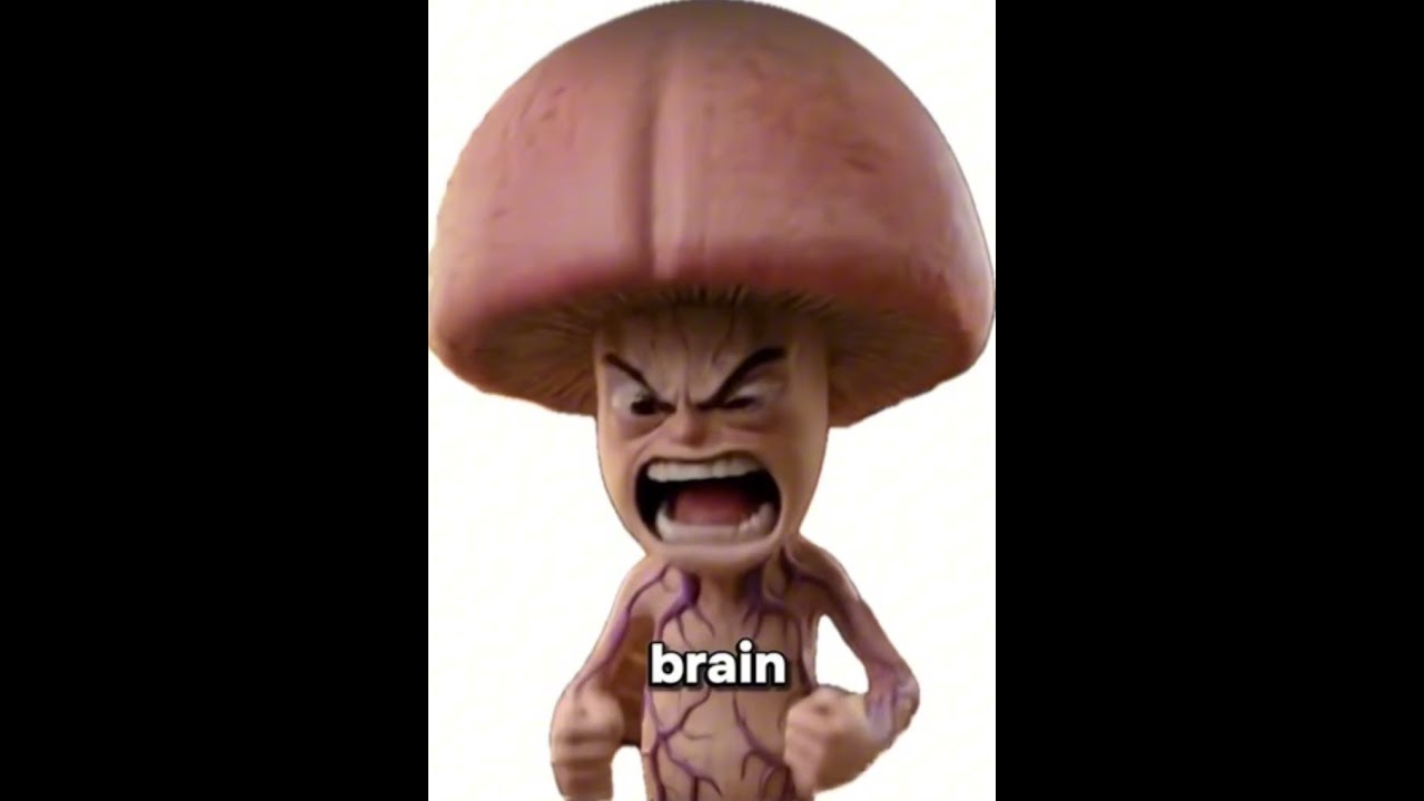 Wesoło, ale marzenie - SoulEsotacious [audio]