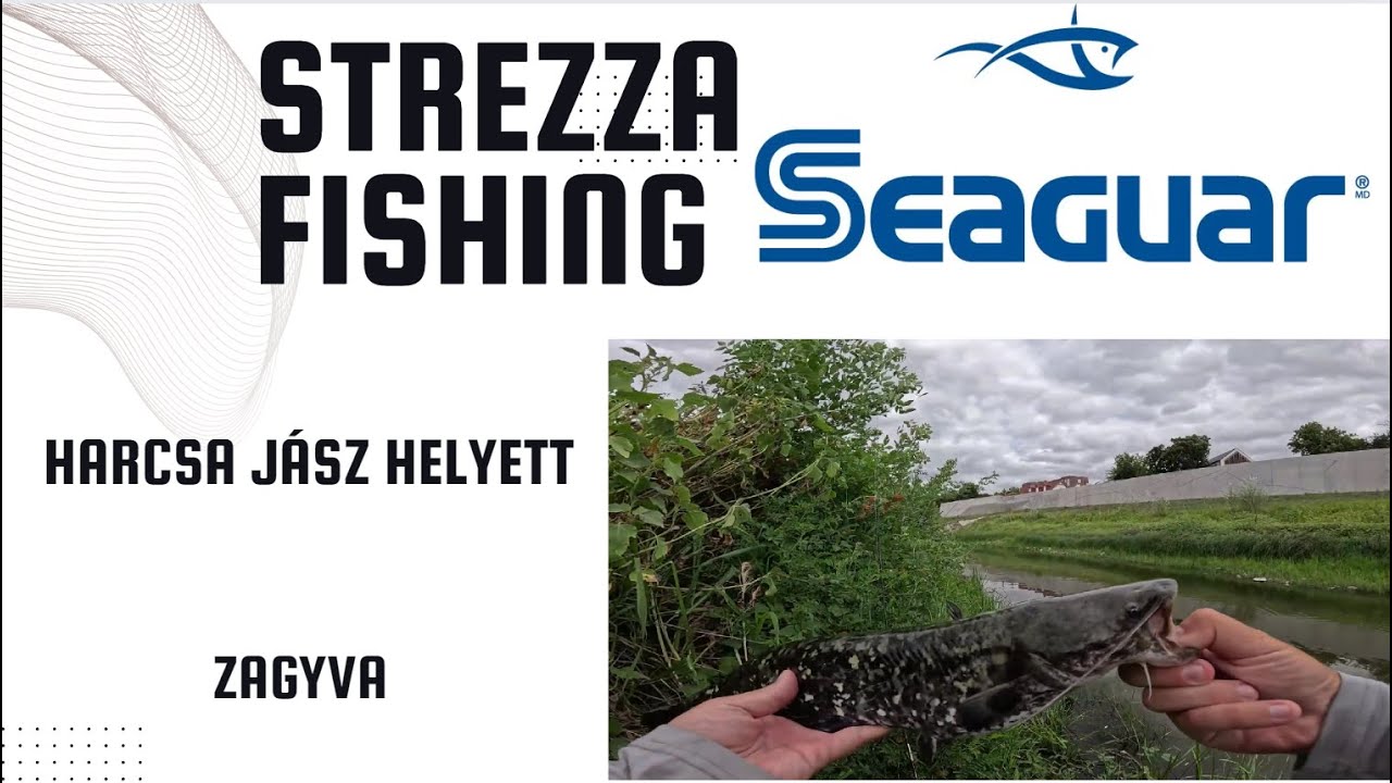 Érdekes harcsa formájú lett ez a jászkeszeg.... pergetés a belvárosban - Zagyva | Strezza Fishing