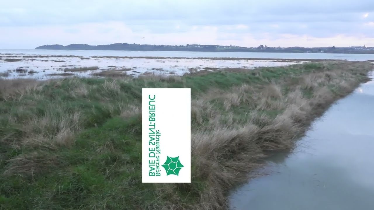 R&eacute;serve Naturelle et Nationale Baie de Saint Brieuc  C&ocirc;tes d'Armor  Mars 2022