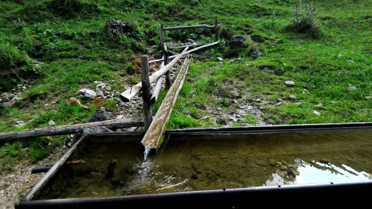 Hasmasul Negru Traseu Prin Șaua Tarcăului 07.08.2022