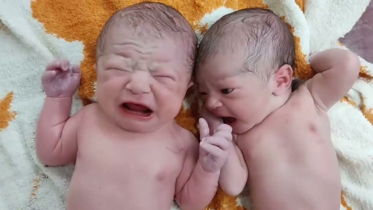 Twins Newborn babies talking to each other is Cutest #twins #love
