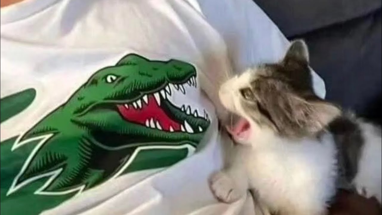 개나리에 나도 껴줘잉