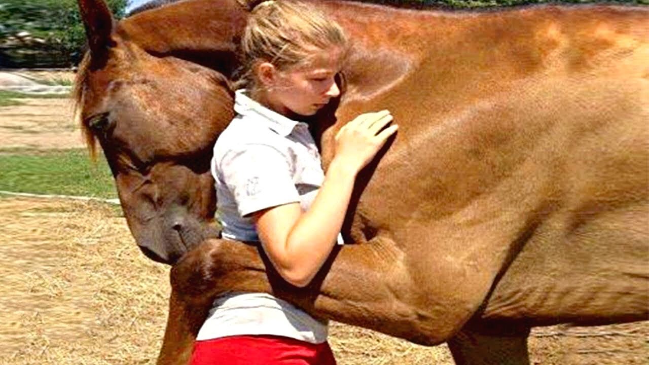 Des Animaux Réunis avec leur Maître des Années Après !