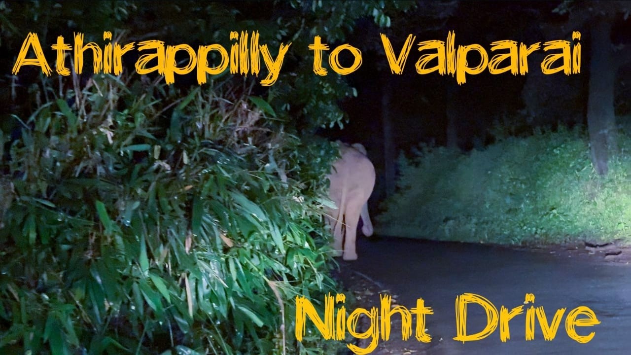 அதிரப்பள்ளி TO வால்பாறை (NIGHT DRIVE) #4k ...#athirappillywaterfalls #malakkapara #valparaitrip …