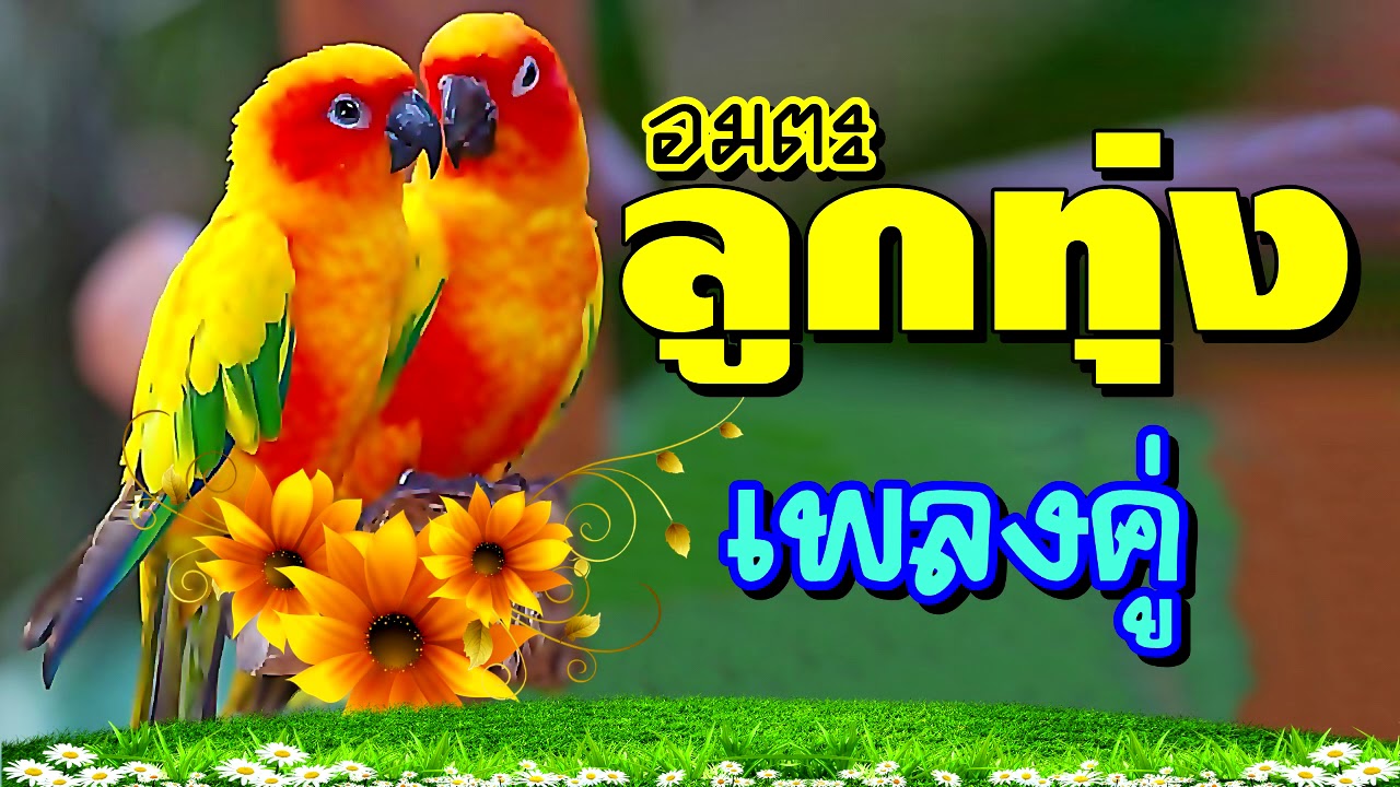 ลูกทุ่งเพลงอมตะเสียงดีคุณภาพ​เยี่ยม​ยิ่งฟังก็ยิ่งเพราะ