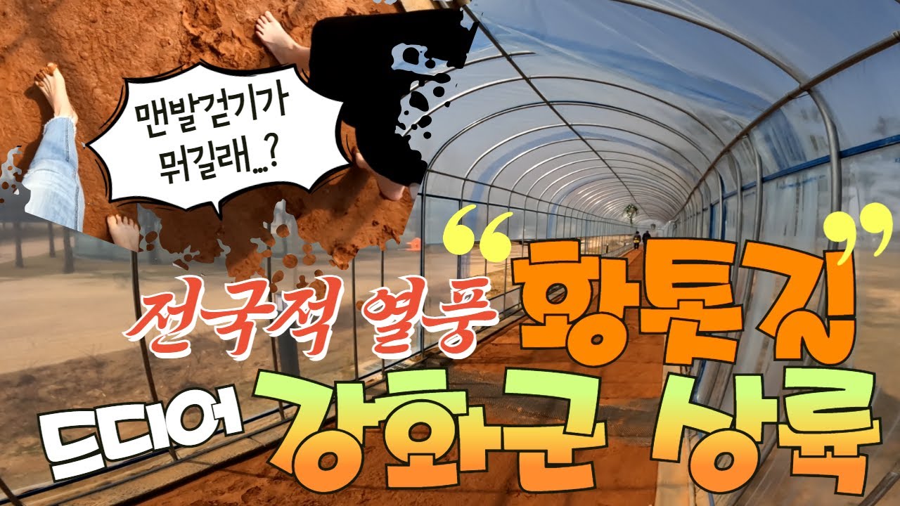 [오늘의 강화군] 전국적 열풍 