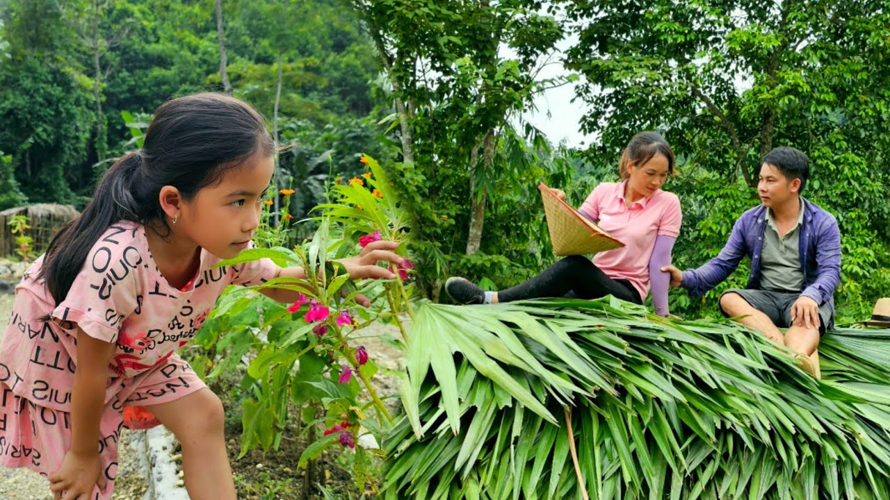FULL VIDEO: How to catch fish naturally - Harvest fruit to make camp gates and swing on bamboo ropes