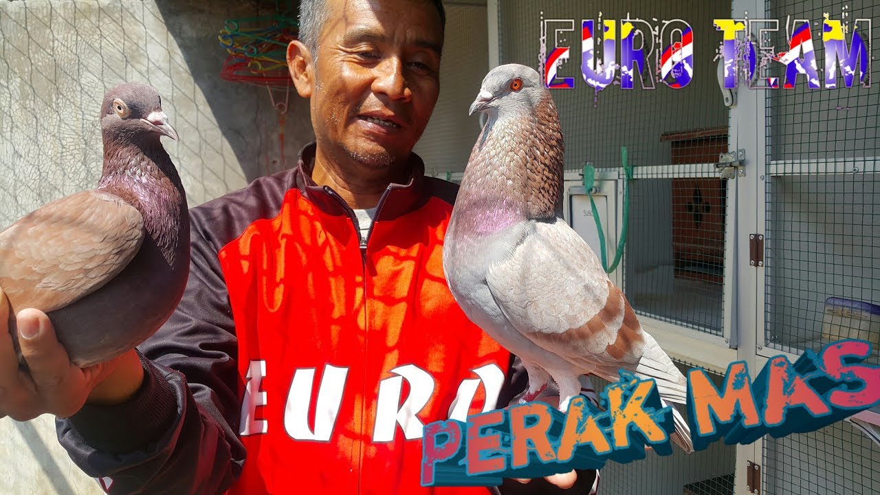 MAEN KE EURO TEAM PALEMBANG