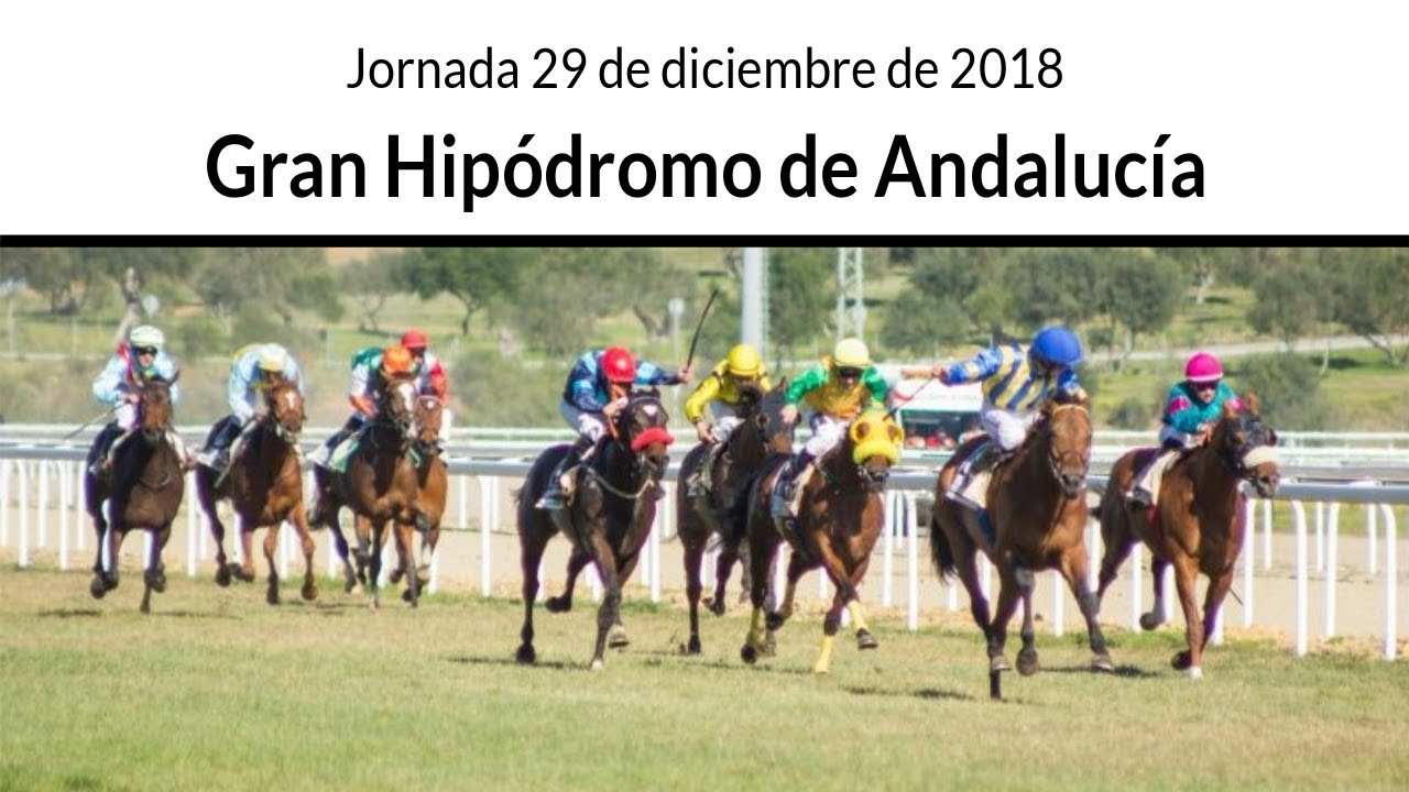 Directo, Gran Hipódromo de Andalucía, 29 de diciembre de 2018