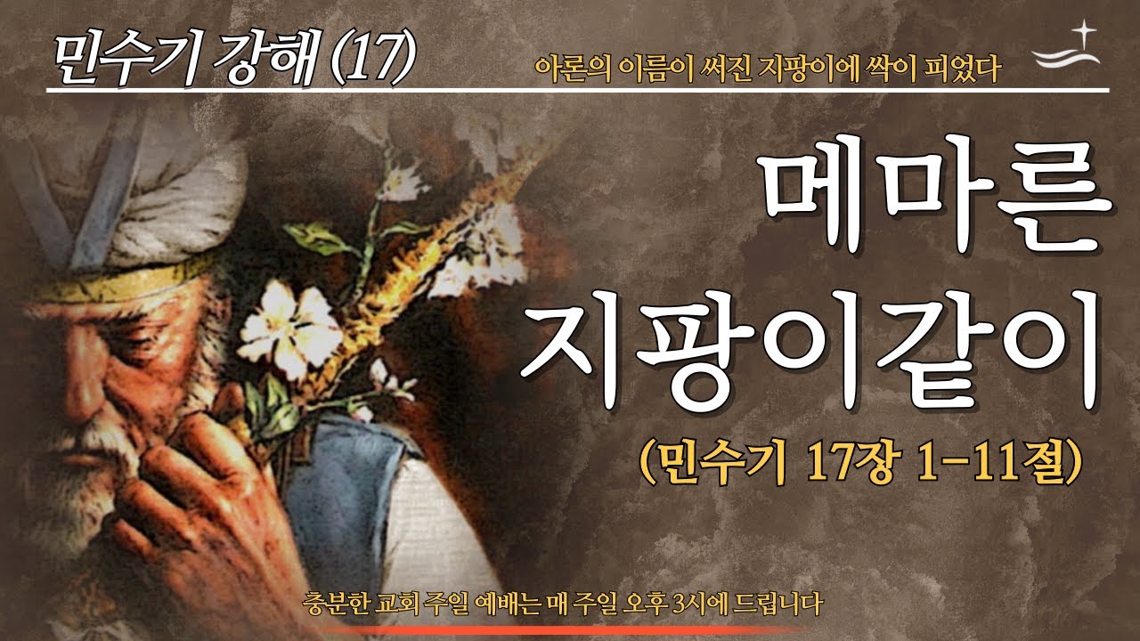 민수기 강해(17) 