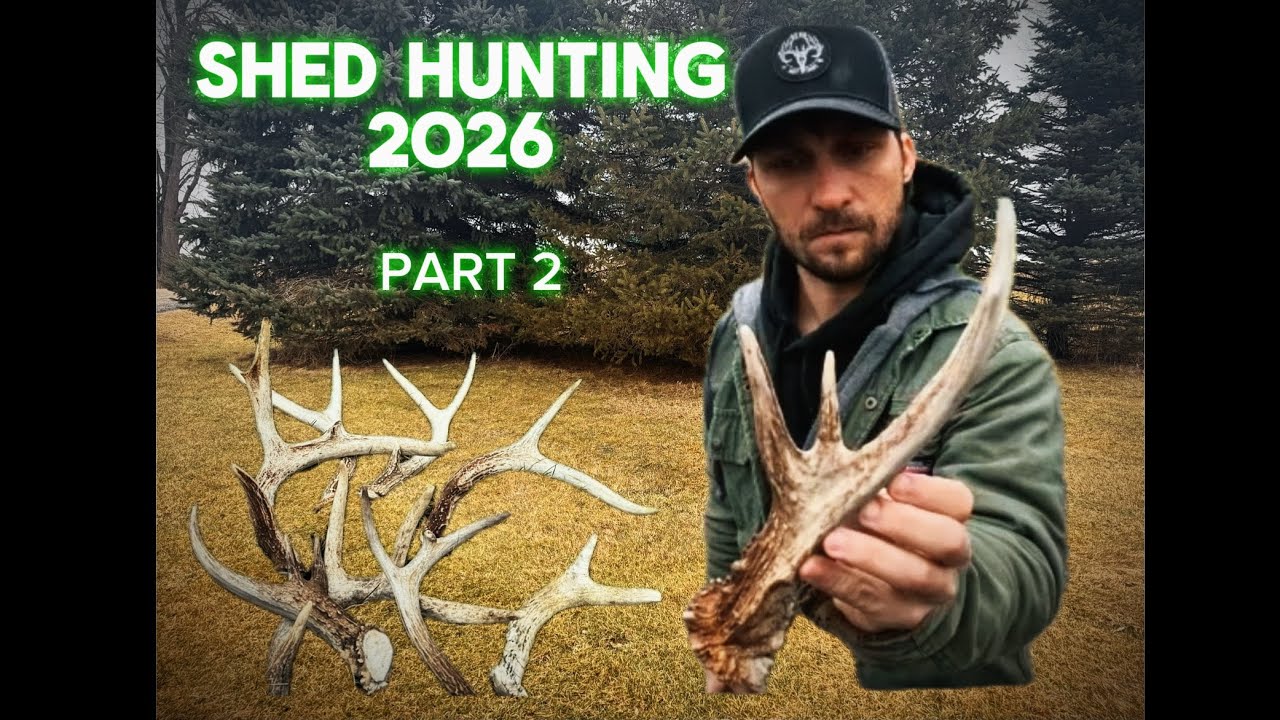 2026 Shed Hunting | 3 Antlers in 40 yards + Double Brow