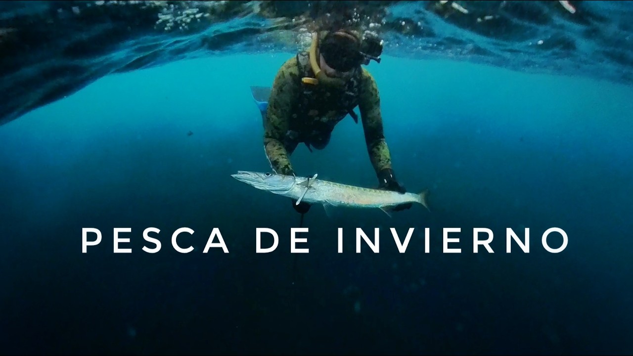 Pescando en Invierno - Pesca Submarina