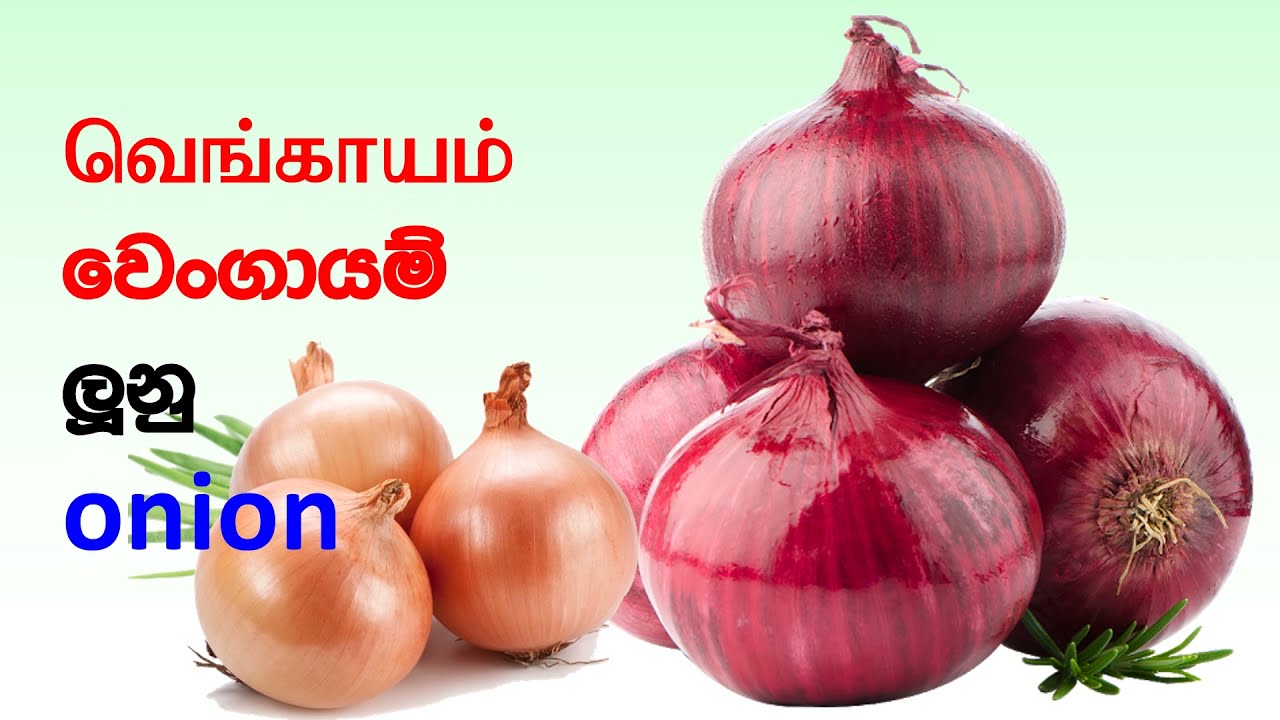 එළවළු වර්ග දෙමළ ,ඉංග්‍රීසි ,සිංහල /#Guruthumi vegetable name