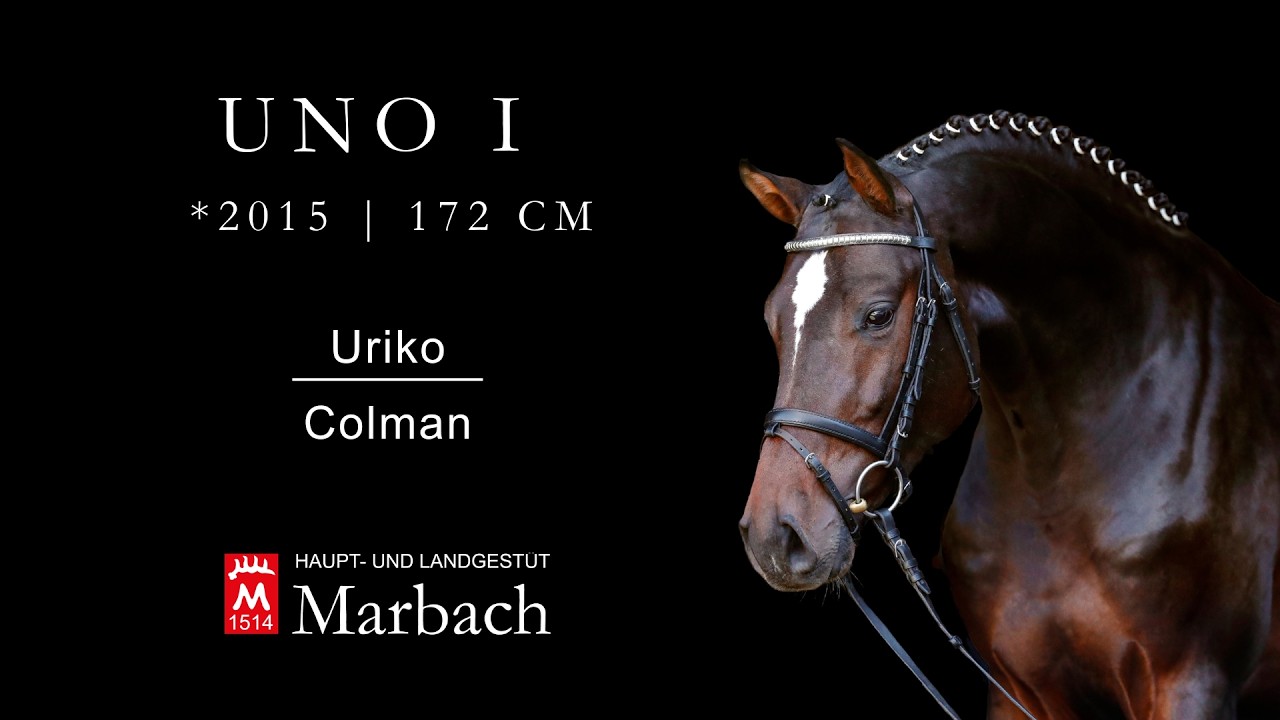 Uno I *2015 v. Uriko - Colman