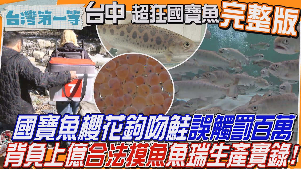 [全新] 台中【2000元藏秘密！誤觸罰百萬