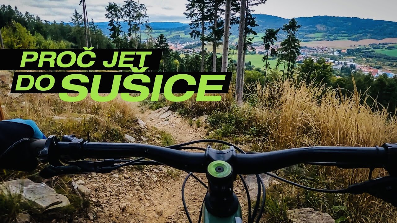 Proč jet do Sušice?