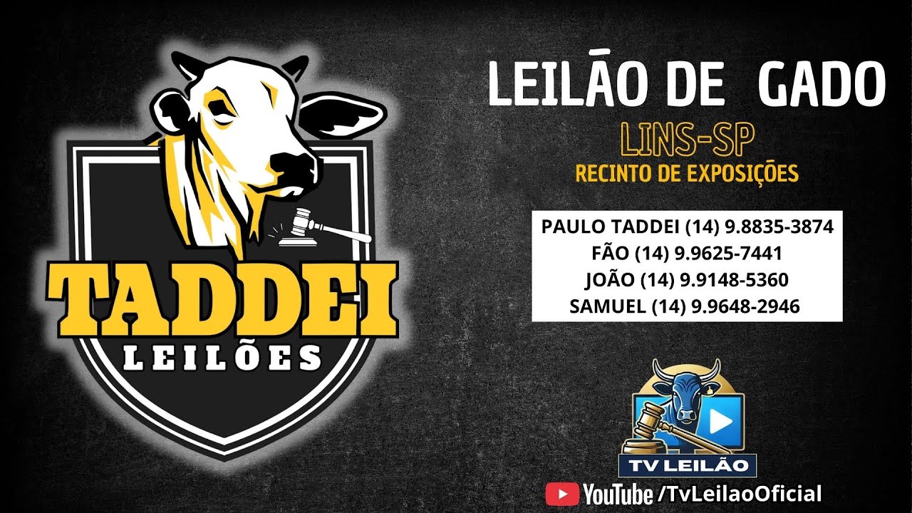 TADDEI LEILÕES AO VIVO - LINS - SP | LEILÃO DE GADO | 21/01/2026